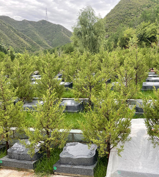北京树葬公墓陵园有哪些，北京树葬的价格大概